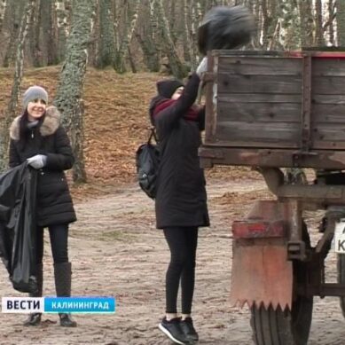 Волонтеры на побережье Балтийского моря собрали 1,5 тонны мусора
