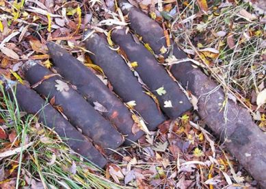 В Калининградской области обезвредили десяток снарядов времен Великой Отечественной войны