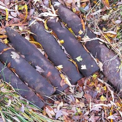 В Калининградской области обезвредили десяток снарядов времен Великой Отечественной войны