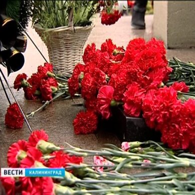 Калининградцы почтили память земляков в день 28-й годовщины вывода войск из Афганистана