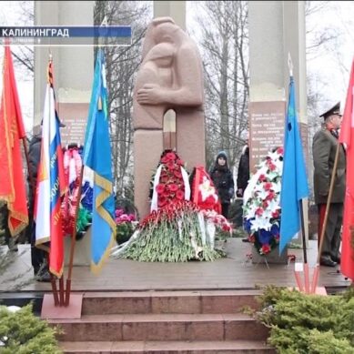 В Калининградской области стартовала «Неделя мужества»
