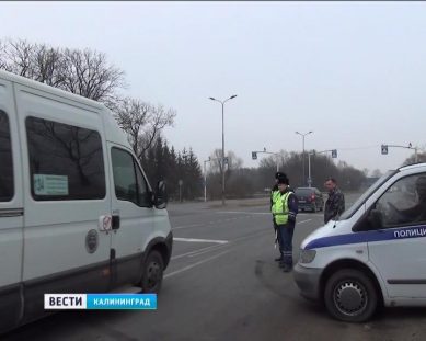 В Калининграде выявляют нелегальных перевозчиков