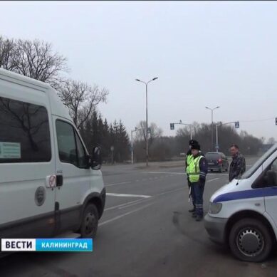 В Калининграде выявляют нелегальных перевозчиков