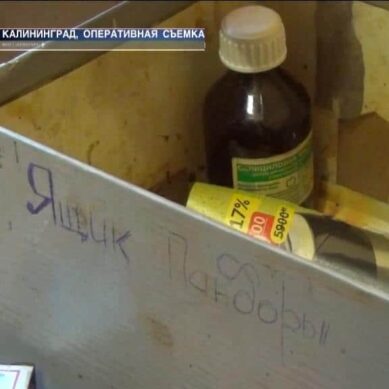 В Калининграде разогнали настоящую наркотическую лабораторию