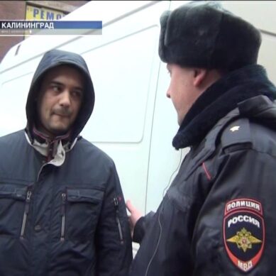 Полиция провела в центре Калининграда масштабный рейд по «нелегалам»