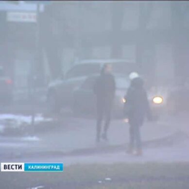 Утро среды в Калининграде будет туманным