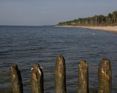 Вода в Балтийском море прогреется до +19