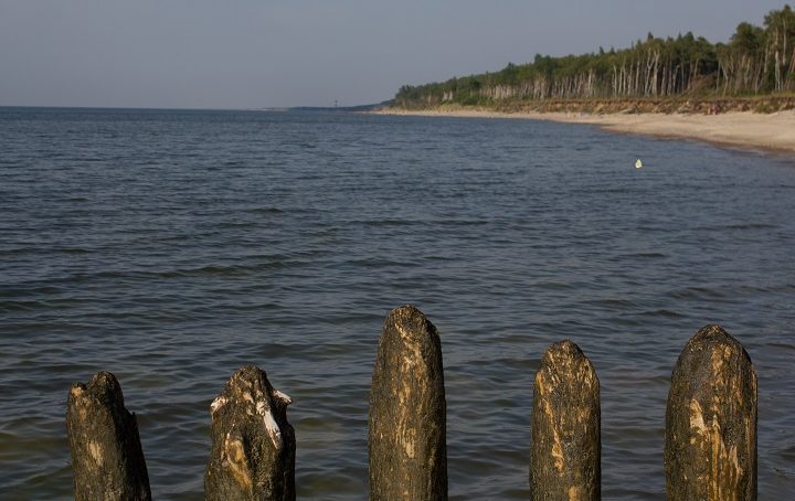 Вода в Балтийском море прогреется до +19