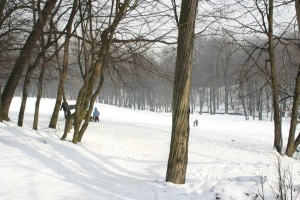 Почему нельзя кататься на горке в центральном парке Калининграда