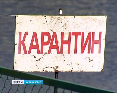 Карантин на набережных Трибуца и Карбышева отменят в ближайшее время