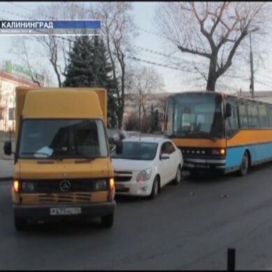 В Калининграде столкнулись микроавтобус, автобус и автомобиль