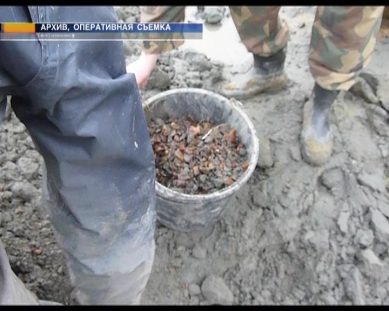 Под Калининградом полицейские задержали две группы чёрных копателей