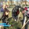 На востоке области стартовала акция по озеленению