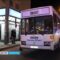 В Калининграде под колеса автобуса попал 74-летний пенсионер