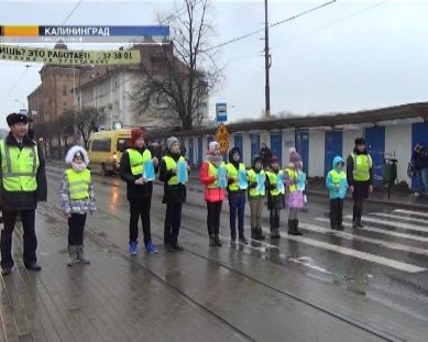 В Калининграде инспекторы ГИБДД провели акцию «Сложности перехода»