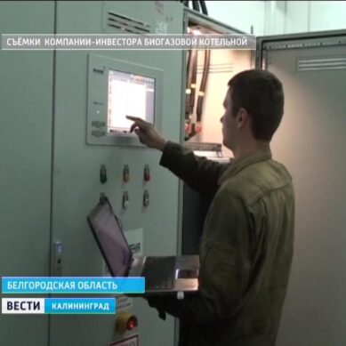 В Калининградской области появится завод по переработке биологических отходов