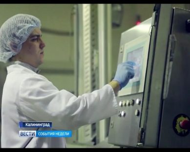 Новый инкубаторий даст Багратионовску 50 рабочих мест
