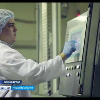 Новый инкубаторий даст Багратионовску 50 рабочих мест