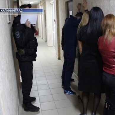В Калининграде задержали организаторов бизнеса по оказанию интим услуг