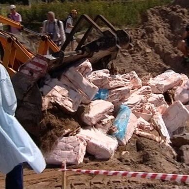 Почти 30 тонн «санкционки» уничтожили в Калининградской области за прошедший год