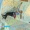 500 юных скалолазов со всей России покоряют «Янтарные вершины» в Калининграде