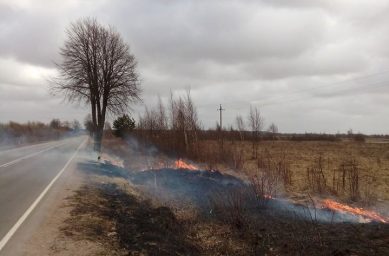 Очевидцы сообщают о масштабных палах травы