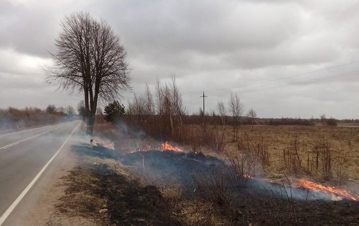 30 гектаров земли  выгорело за сутки  в регионе из-за пала травы