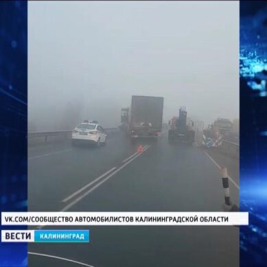 Температурные перепады: ГИБДД предупреждает о тумане и гололёде на дорогах Калининградской области