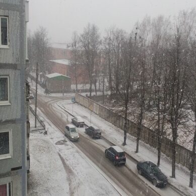 В Калининградской области снегопад