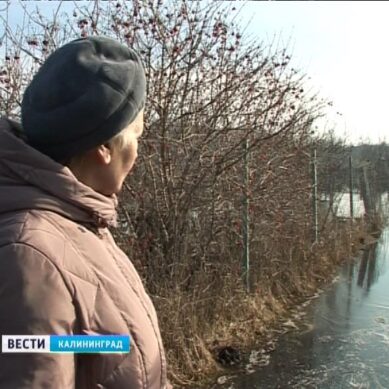 В поселке Янтарный в обществе «Садовод» затопило четверть участков