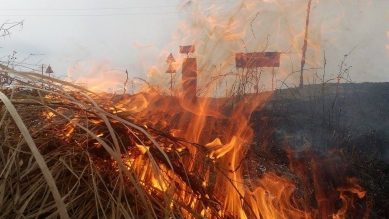 На востоке области обнаружены крупные очаги возгорания травы