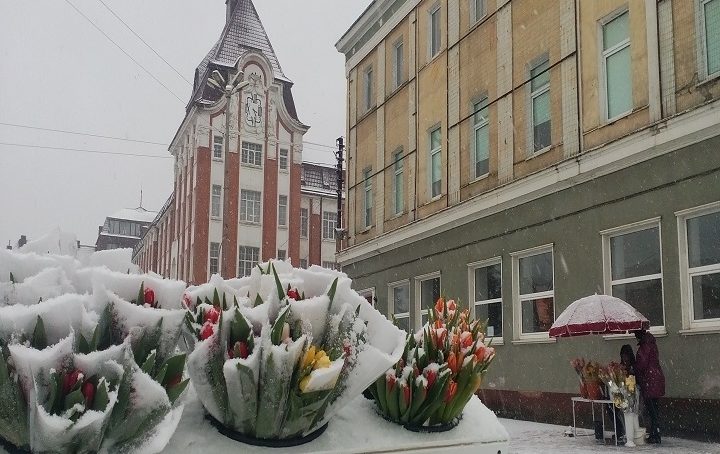 Снегопад корректирует цены на цветы