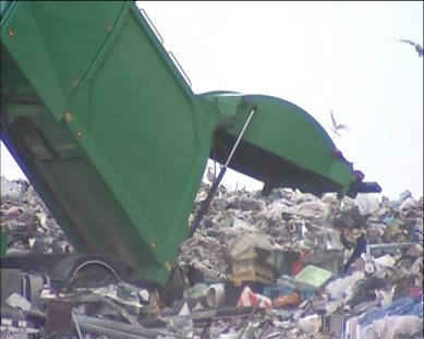 Свалку мусора в центре Калининграда устроило МУП «Чистота»