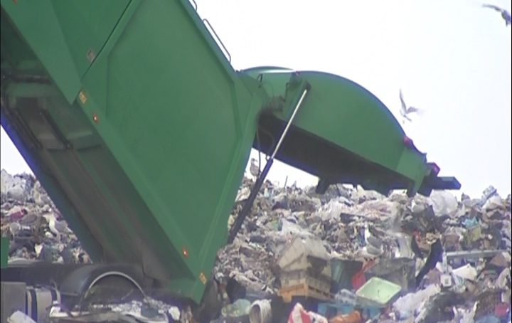 Свалку мусора в центре Калининграда устроило МУП «Чистота»