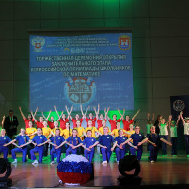 В регионе проходит всероссийская школьная олимпиада по математике