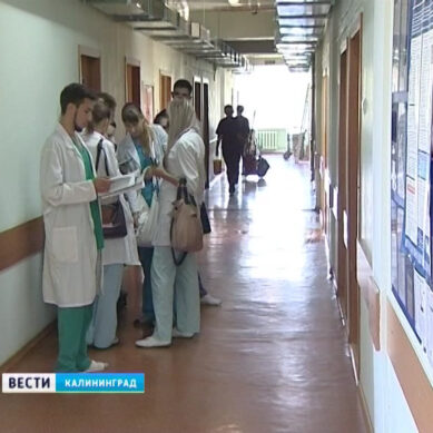 В Калининграде разработают программу поддержки медицинских кадров