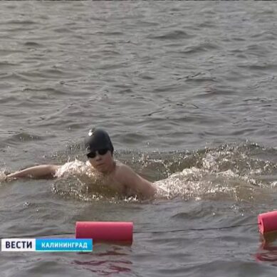 В Калининграде прошёл первый чемпионат области по зимнему плаванию