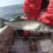Сотрудники рыбохраны изъяли у браконьеров более 700 кг леща и судака
