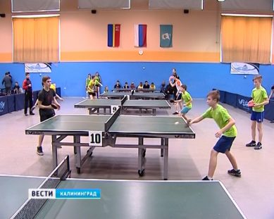 В Калининграде прошли соревнования по настольному теннису среди школьников