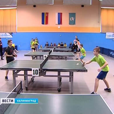В Калининграде прошли соревнования по настольному теннису среди школьников