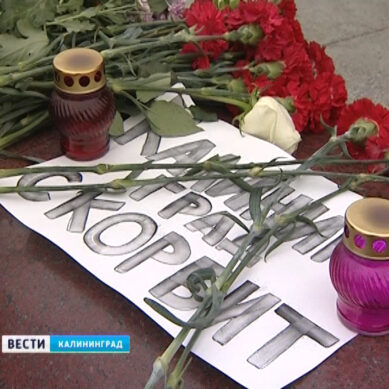Калининградцы продолжают нести цветы на Площадь Победы