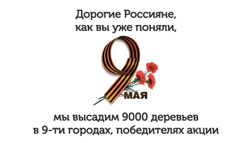 Проголосуй за Калининград! Акция «Аллеи Славы»