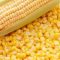 19 тонн семян кукурузы не пустили в Калининградскую область