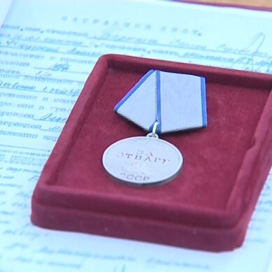 В Калининградской области поисковики нашли две медали «За отвагу». Репортаж калининградских «Вестей»