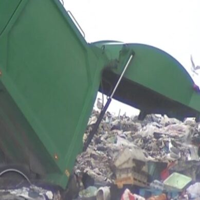 ОНФ предложил начать в Калининграде программу раздельного сбора мусора