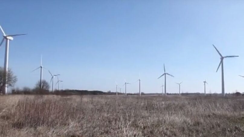 В посёлке Ушаково построят новый ветропарк