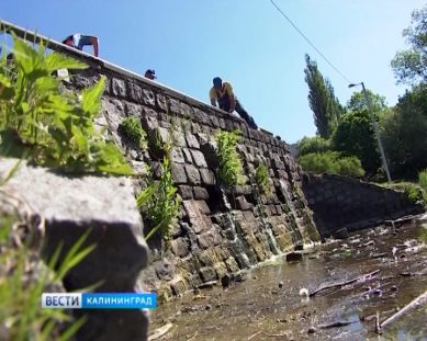 Дамбу Нижнего пруда отремонтируют впервые с советских времен