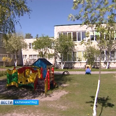 Следственный комитет проведет проверку по факту вспышки сальмонеллёза в Калининградском детском саду