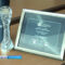 Музей Мирового океана получил «Хрустальный компас»