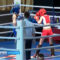 В Калининграде больше 300 бойцов борются за медали Чемпионата России по кикбоксингу